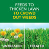 Scotts® Turf Builder® Weed & Feed (5000 sq. ft.)